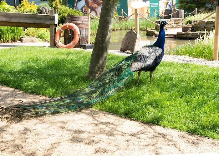 The Stables - The Inn Collection Group Inn 4*